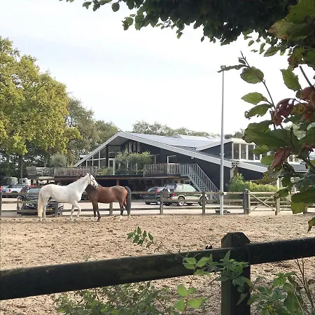 Nocleg ze śniadaniem Loft 55, Penthouse Aan De Schoorlse Duinen 4*