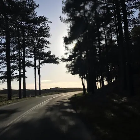 Loft 55 Bergen-schoorl Luxury 165m2 Σχόορλ