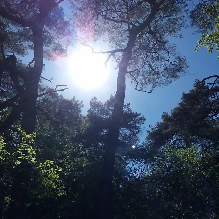 Loft 55 Bergen-schoorl Luxury 165m2 Schoorl