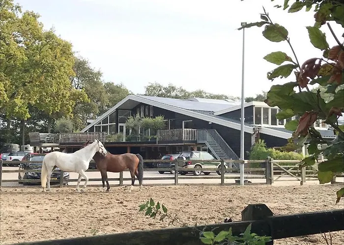 Bed & Breakfast Loft Aan Zee Bergen-Schoorl Luxury Appartement 4*