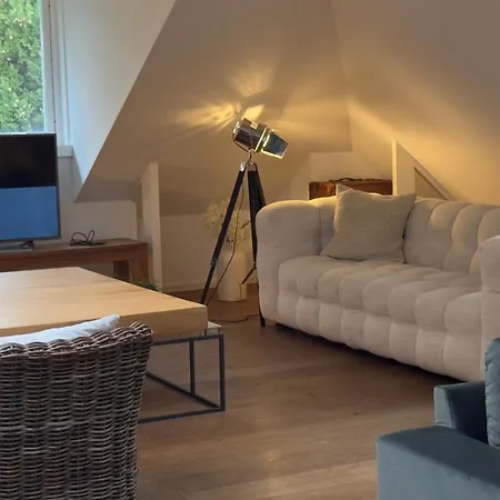 Bed & Breakfast Loft 55, Penthouse Aan De Schoorlse Duinen
