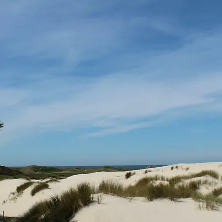 Loft 55, Penthouse Aan De Schoorlse Duinen 4* Schoorl