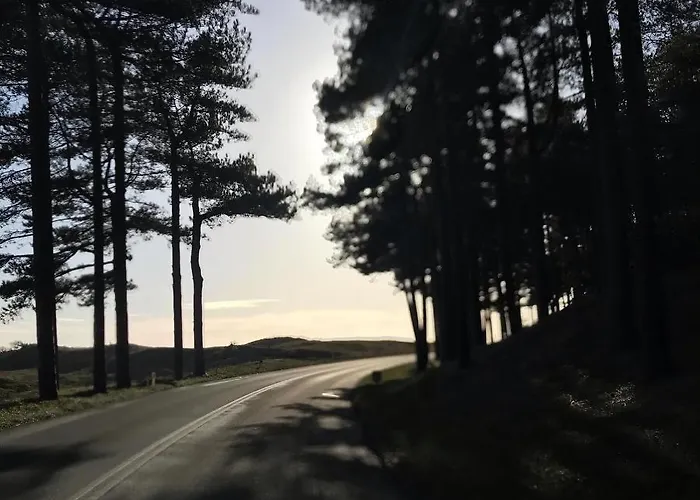 Loft Aan Zee Bergen-Schoorl Luxury Appartement Schoorl