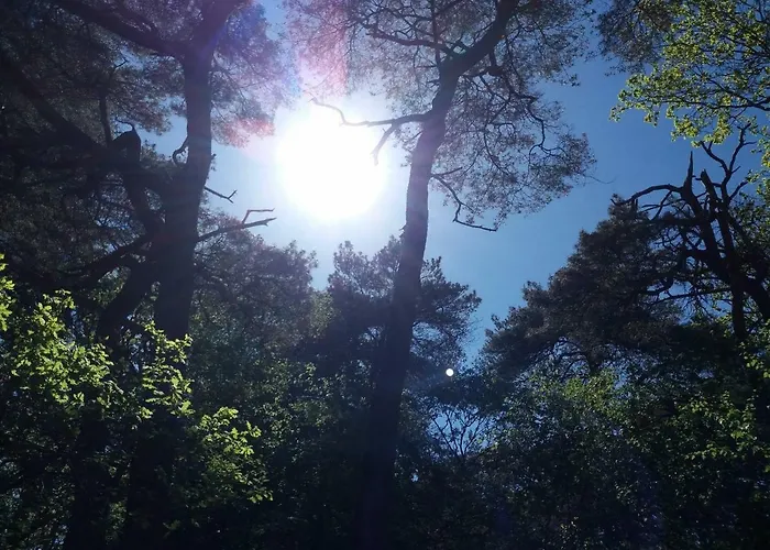 Loft Aan Zee Bergen-Schoorl Luxury Appartement Schoorl